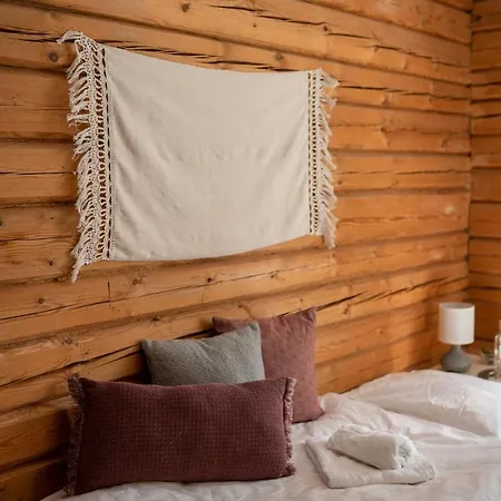 Hotel Olo Center By Kolovesi National Park 3*