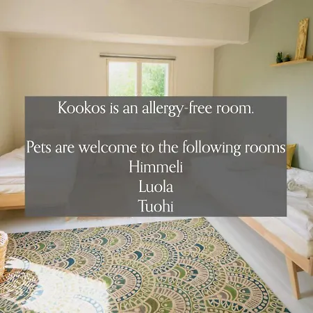 Olo Center By Kolovesi National Park