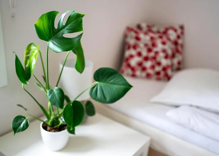 Hotel Olo Center By Kolovesi National Park Enonkoski