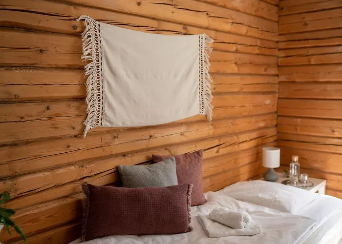 Hotel Olo Center By Kolovesi National Park 3*