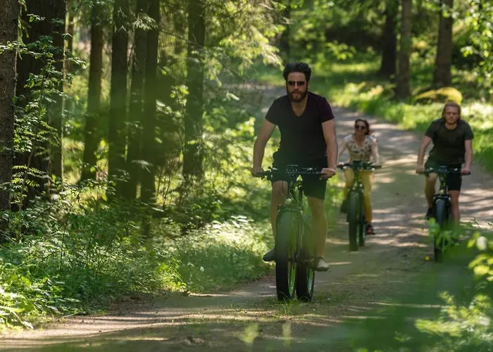 Olo Center By Kolovesi National Park Hotel