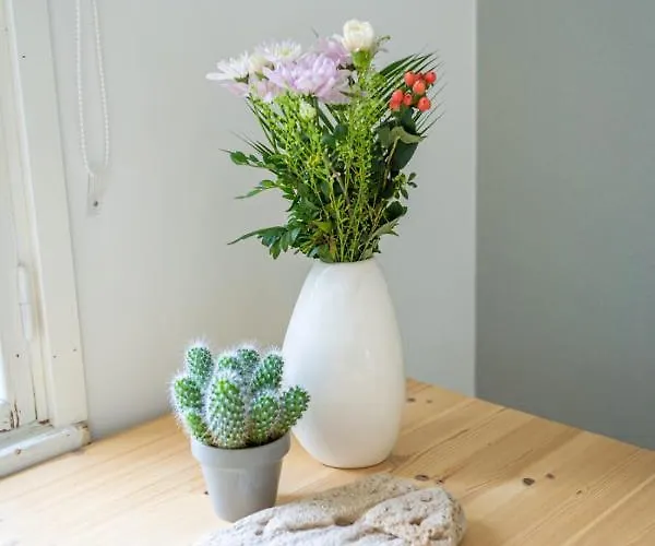 Hotel Olo Center By Kolovesi National Park