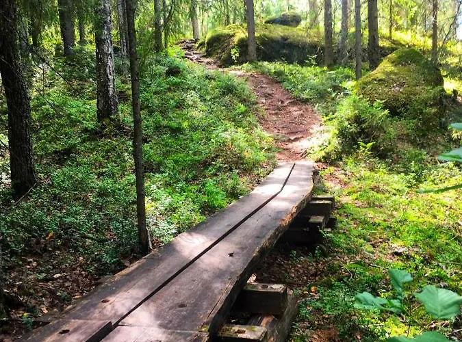 Olo Center By Kolovesi National Park 3*